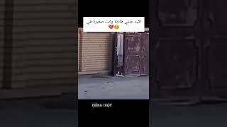 اكيد جنتي هادئة وانت صغيرة هي 😂💔راحةنفسية العراق ياعلي [upl. by Eiba]