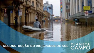 Rio Grande do Sul retoma realização de feiras após catástrofe climática  Planeta Campo [upl. by Siekram]