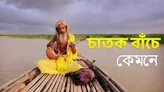 চাতক বাঁচে কেমনে মেঘের বরিষণ বিনে। Chatok Bache kemone। আনিস পাগলা Bangla song 2024 [upl. by Akirea]