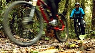 A locals guide to cycle trails in Waikato NZ [upl. by Reina928]