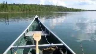 Electric trolling motor on canoe [upl. by Vaas637]