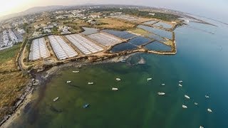 Ria Formosa in Olhão [upl. by Jagir]