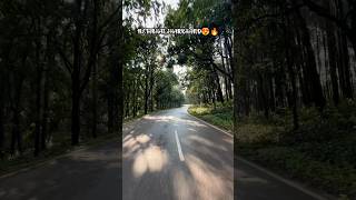 Netarhat Jharkhand 😍🌿🌾 shorts ytshorts love music likeandsubscribe hindisong trending❤ [upl. by Aicilak]