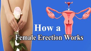 How a Female Erection Works  Unveiling the Female Response  A Guide to Female Sexual Anatomy [upl. by Odrareg]