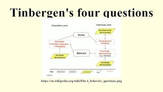 Tinbergens four questions [upl. by Burhans]