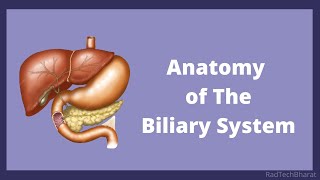 Anatomy of The Biliary System  RadTechBharat [upl. by Dobb]