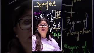 Regions of Root  ncert biology shorts [upl. by Nivlem]