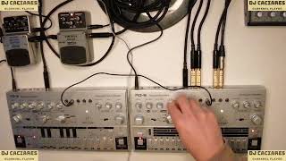 Behringer RD6 amp Behringer TD3  Electro Acid House Jam 2 [upl. by Anoy]