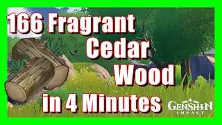 166 Fragrant Cedar Wood In 4 Minutes  Material Farm  Genshin Impact  How to Farm [upl. by Papke580]