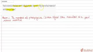 Food is stored as floeidean starch in Rhodophyceae Mannitol is the reserve food material of which [upl. by Davies]