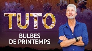 TUTO  Comment planter les bulbes de printemps [upl. by Nylsaj298]