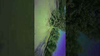 FPV Freestyle fpv freestylefpv drone nostab fpvdrone fpvlife sky treestyles [upl. by Viviana]