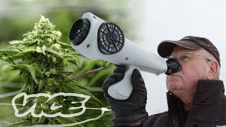 The Gadget That Measures How Strong Your Weed Smells [upl. by Anastase]