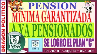 1134🔥PENSIÒN MÌNIMA GARANTIZADA 😃✅ pension noticias ayudasocial pagos [upl. by Andris502]