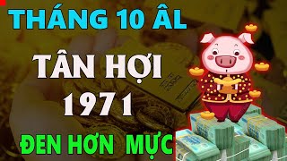 Tử vi tuổi TÂN HỢI 1971 tháng 10 âm lịch HUNG VẬN BAO VÂY ĐEN KHÔNG ĐỂ ĐÂU CHO HẾT [upl. by Oiratno]