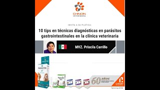 10 tips en técnicas diagnósticas en parásitos gastrointestinales Dra Priscila Carrillo [upl. by Lattie261]