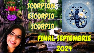 SCORPION♏APAR SCHIMBARI NECESAREAI UN SPIRIT DE OBSERVATIE PUTERNIC🌺🌟🌺 [upl. by Ynnot937]