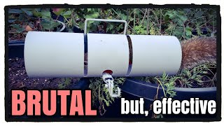 BEST TRAP for Squirrels tube trap [upl. by Etteyafal908]