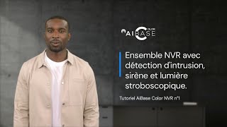 Aibase Color Tutorial  How to set Active Deterrence French Version [upl. by Naahs159]