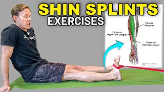 3 Anterior Shin Splints Physical Therapy Exercises [upl. by Aredna880]