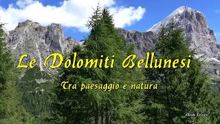 DOLOMITI BELLUNESI TRA PAESAGGIO E NATURA [upl. by Dream589]