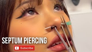 Septum nose piercing for this beauty ⚡️ Don’t try this at home septum nosepiercing [upl. by Gazo]