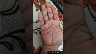 palm reading video no 368 Shiva Astrology contact number for palm reading 8588821529 [upl. by Rednijar325]