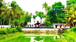 Sahib masjid ആല പനങ്ങാട് Pallinada [upl. by Bartie]