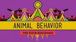 Animal Behavior  CrashCourse Biology 25 [upl. by Farland383]