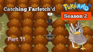 quotCatching Farfetchd in Illex forestquot PokeMMO Gameplay Season 2 Part 11 [upl. by Ymeon183]