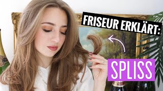 FRISEUR ERKLÄRT SPLISS  Kaputte Haare amp was dagegen hilft  Sabrina Schuster [upl. by Nylrahs]