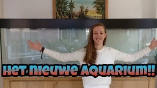 MIJN NIEUWE 2m AQUARIUM  update aquaria Nickey [upl. by Tedd]