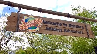 Chessington World Of Adventures Mandrill Mayhem POV  World Of Jumanji Roller Coaster [upl. by Annaiek637]