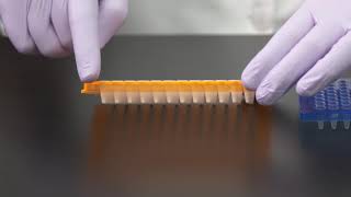 Learn How to Choose a PCR Plate [upl. by Adia]