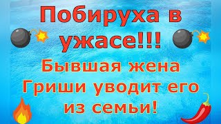 Деревенский дневник очень многодетной мамы Побируха в ужасе Бывшая Гриши уводит его из семьи Обзор [upl. by Ranger888]