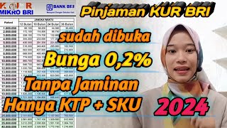 Pinjaman KUR BRI 2024 Bunga Murah Tanpa Jaminan Sudah dibuka 2024 Segera Ajukan Kuota Terbatas [upl. by Vernon399]