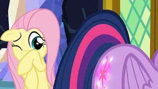 Twilight Sparkle amp Fluttershy  Isnt this exciting Oh You were called too Thank goodness [upl. by Eceinwahs258]