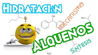 Hidratación de Alquenos ¡Fácil  SINTESIS Y MECANISMO [upl. by Helena]