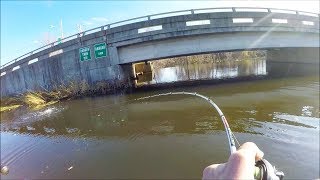 I Found the BEST SPOT Incredible Pike Fishing [upl. by Eanej]