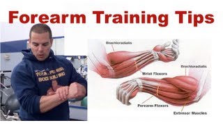 Forearm Training Tips [upl. by Hagood]