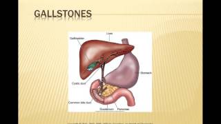 GI Biliary System [upl. by Pren]