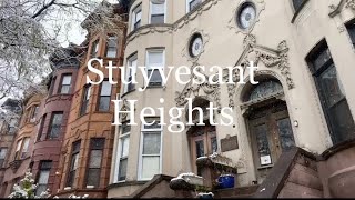 Exploring Stuyvesant Heights Historic District in the snow [upl. by Yatzeck]