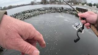 Fishing the Nanticoke River on the Eastern Shore [upl. by Grimaud]