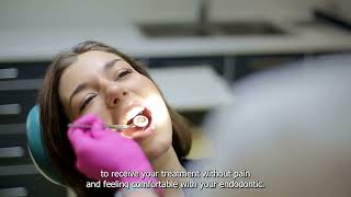 Endodontics near me Discover Quality [upl. by Ahsieket]