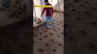 Anti Termite Treatment shorts antitermite construction viralvideo site trending [upl. by Stockton]