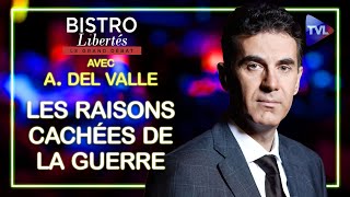 Les raisons cachées de la guerre selon Alexandre del Valle  Bistro Libertés  TVL [upl. by Pietro]