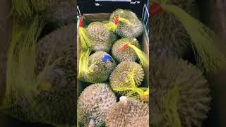 Delicious Durian Fruits shorts World Testy fruits [upl. by Veleda207]