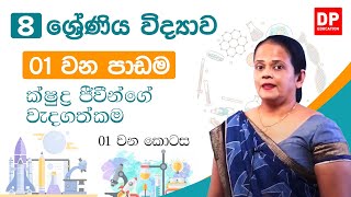 01 වන පාඩම ක්ෂුද්‍ර ජීවීන්ගේ වැදගත්කම  01 කොටස  08 වන ශ්‍රේණිය විද්‍යාව [upl. by Asserat]