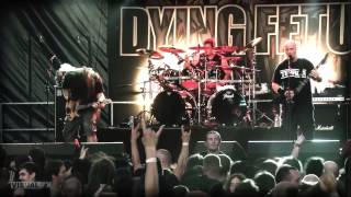 Dying Fetus  Homicidal Retribution Live  Motocultor Festival 2013  SaintNolff [upl. by Zsamot447]