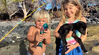 We Rescued Wild Orphan Baby Goats While on a Fishing Trip in Hawaii [upl. by Lleoj556]